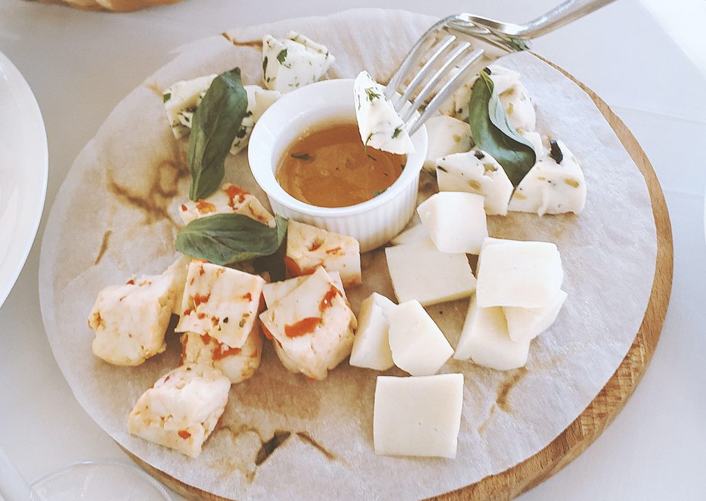 Dairy – Industrias Roko