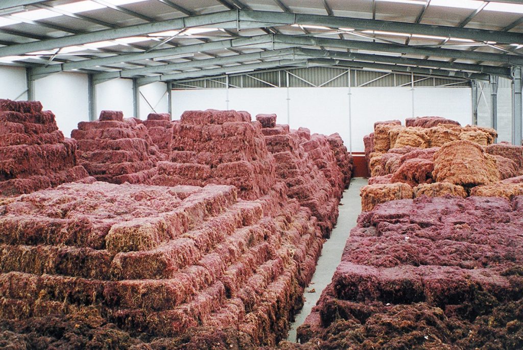 Industrias Roko – Industrias Roko