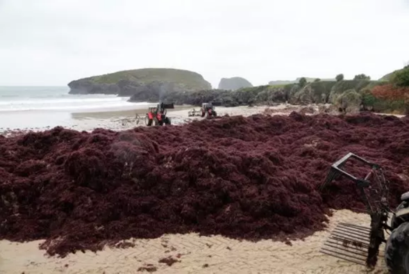 Agar Eco – Industrias Roko